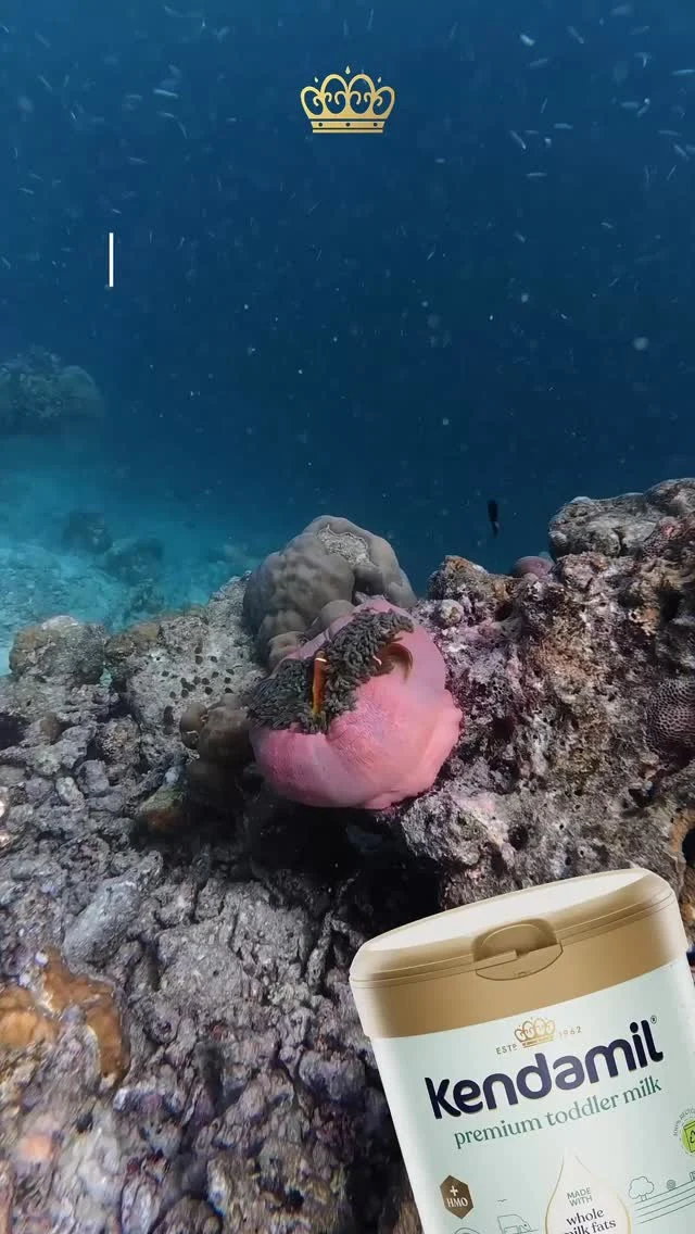 U nás žádnou rybinu nehledej! 🐟🪸🌊

Zatímco některá kojenecká mléka využívají rybí olej jako zdroj DHA, my v Kendamilu sázíme na rostlinnou alternativu. To znamená, že naše mléka jsou vhodná i pro vegetariány! 🌱

#SvetovyDenOceanu #udrzitelnost #rostlinneDHA #Kendamil

🤱 Důležité upozornění: Kojení je pro miminko tím nejlepším začátkem. Kojenecká výživa by měla být používána pouze na doporučení lékaře. Způsob použití a další informace na obalech. Potravina pro zvláštní výživu.